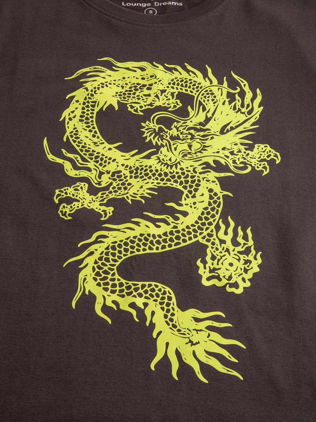 Dragon Print close-up on bio-washed cotton tee